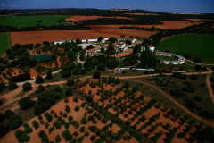 Cortijoext07