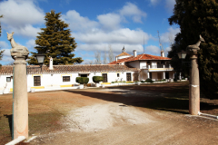 Cortijo01