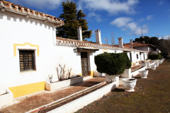 Cortijo02