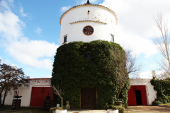 Cortijo10