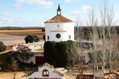 Cortijo11