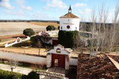 Cortijo12