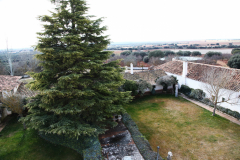 Cortijo19