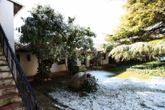 Cortijo21