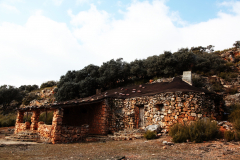 Refugio03