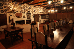 Salon01