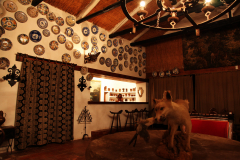 Salon09